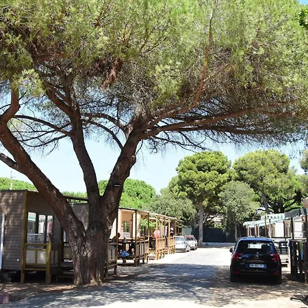 캠프장 Tikayan Le Mediterranee - Maeva 3*